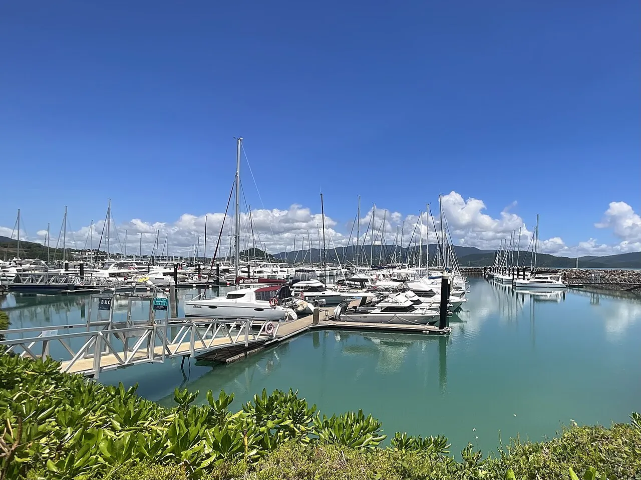 Berths at Coral Sea Marina, Airlie Beach (2025)