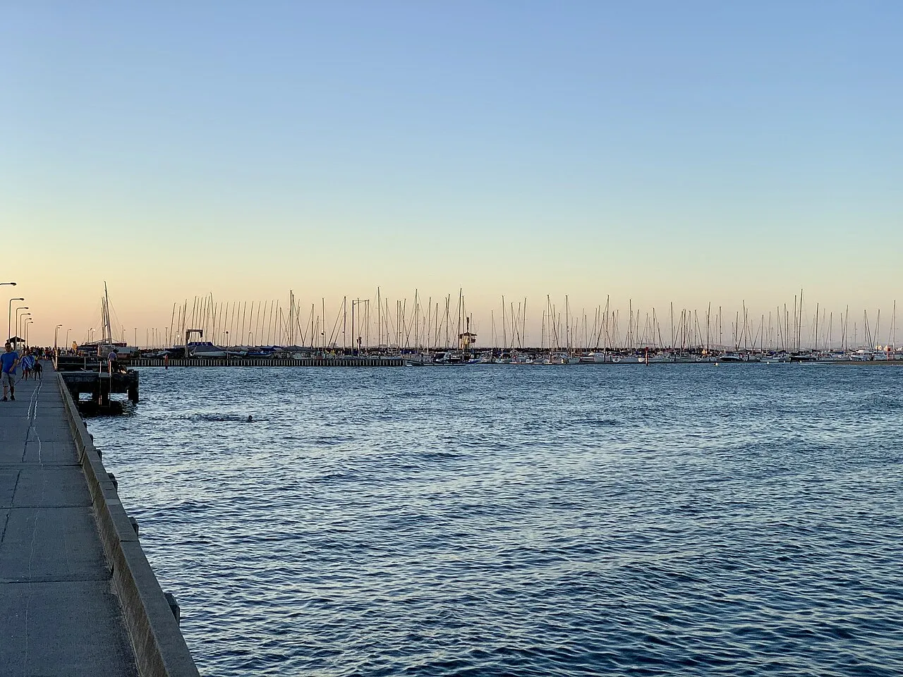 Masts in the Royal Brighton Yacht Club marina at dusk, seen from the breakwater (2019)