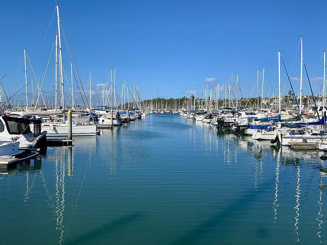 Yachts berthed in Manly Boat Harbour, Brisbane (2020)
