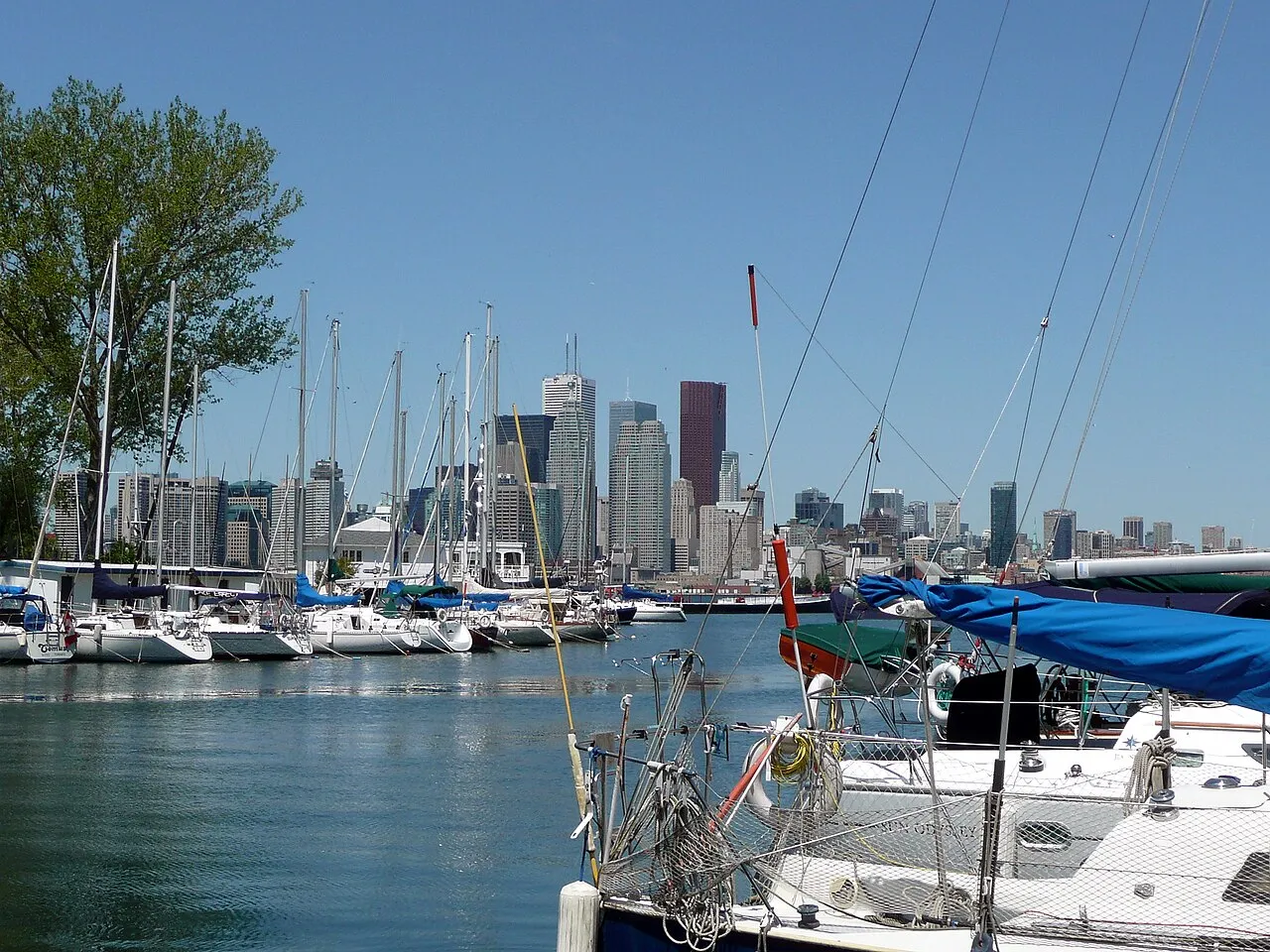 Yachts at Toronto Island Marina with the downtown skyline behind