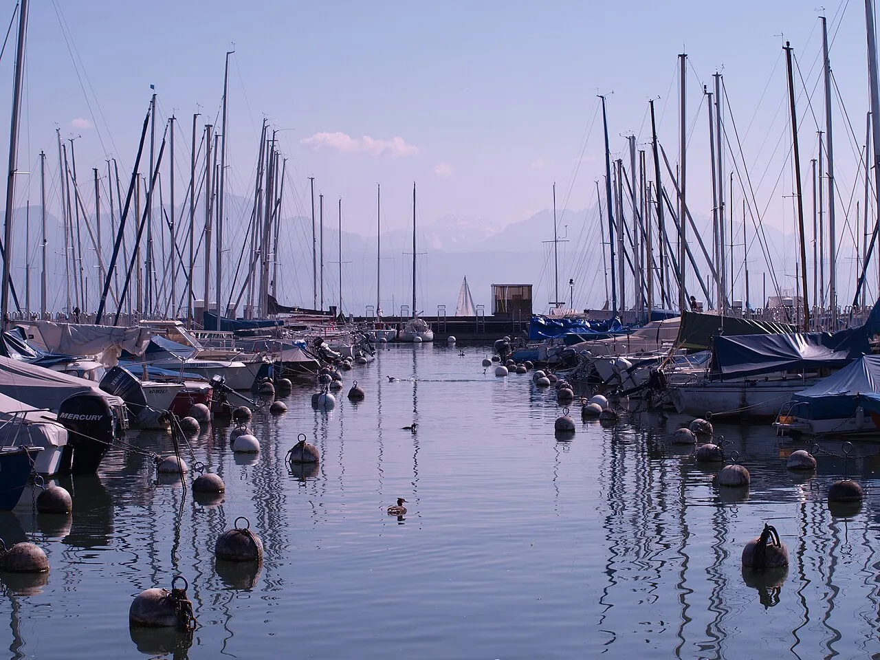 Vidy harbour with the Alps beyond