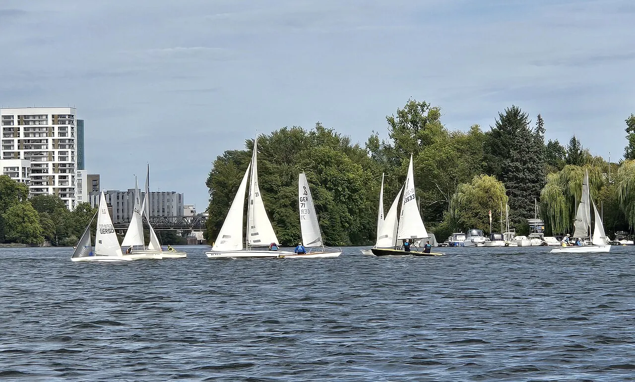 FYC regatta on the Main, 2026