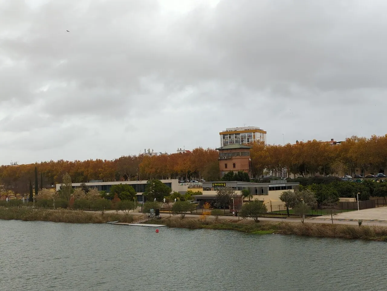 Club de remo Ciudad de Sevilla