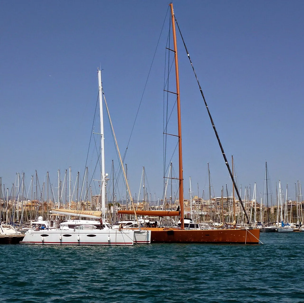 Veleros amarrados en el puerto del RCNP, con Palma al fondo