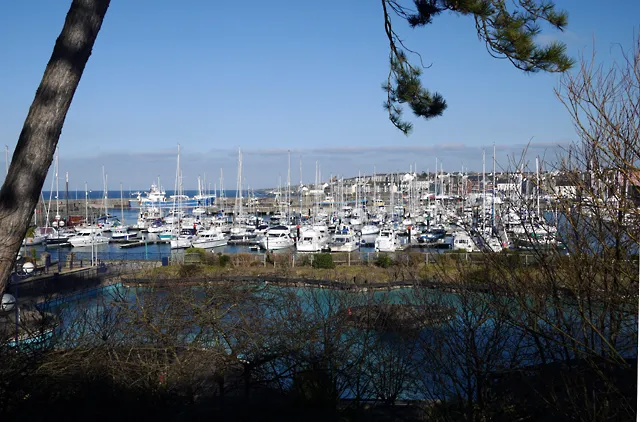 Yachts in Bangor Marina on Belfast Lough