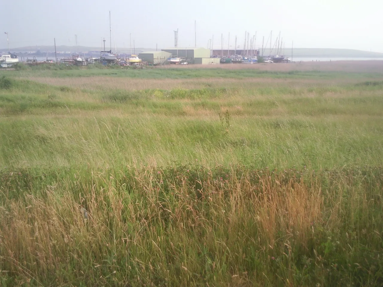 Erith Yacht Club