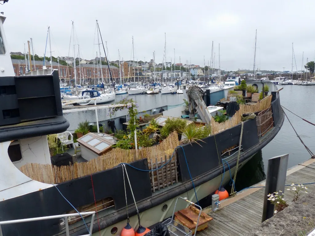 Boats and a houseboat garden in Milford Marina