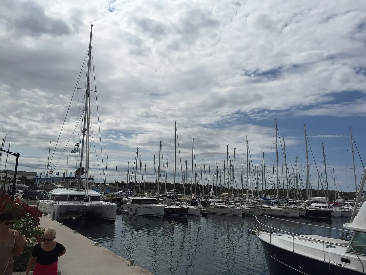 Mandalina marina in Šibenik