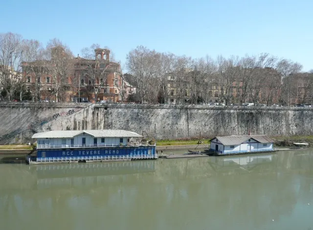 Reale circolo canottieri Tevere remo