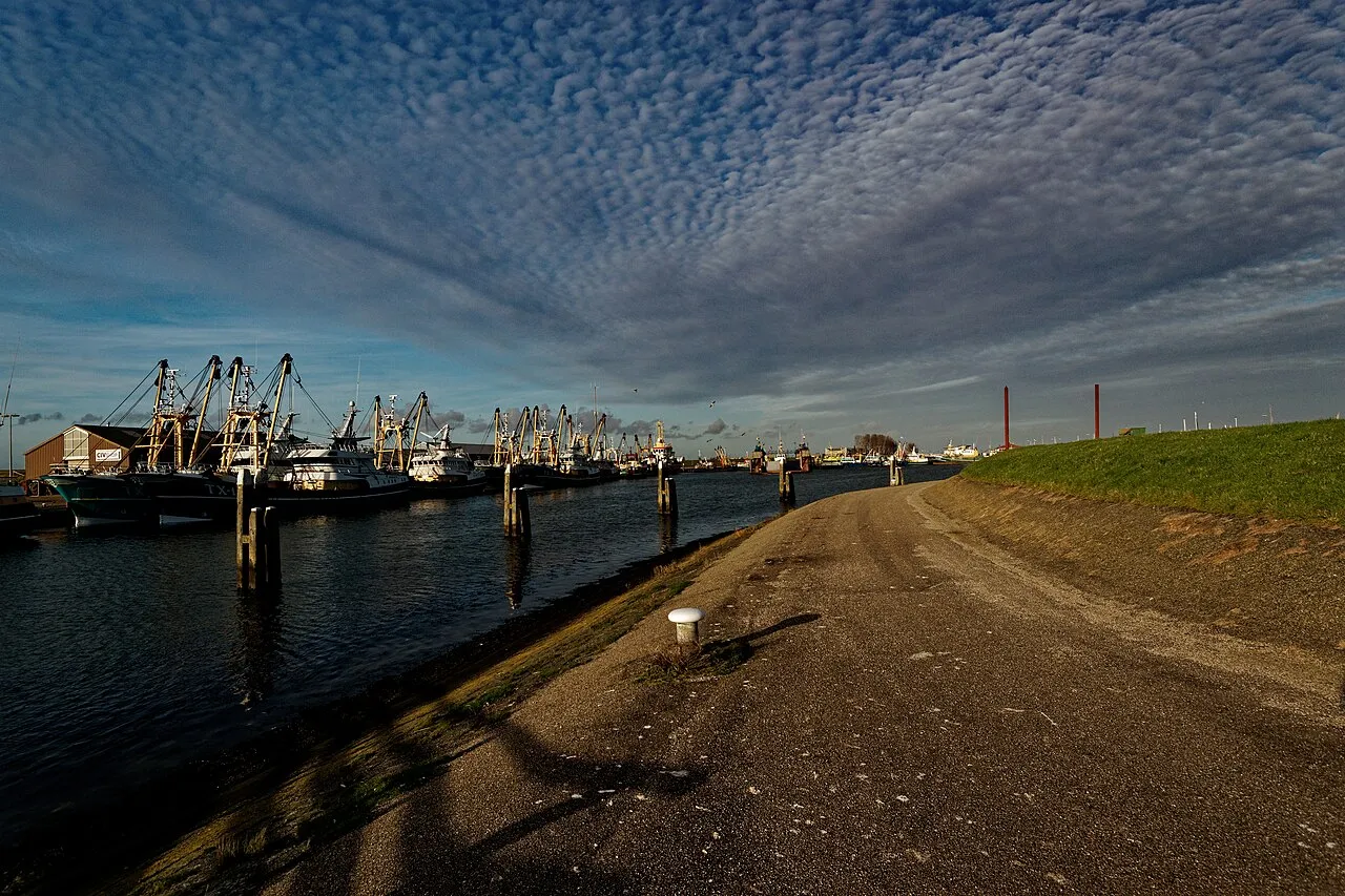 Oudeschild harbour, Texel