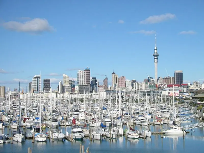 Westhaven Marina below Auckland's city skyline