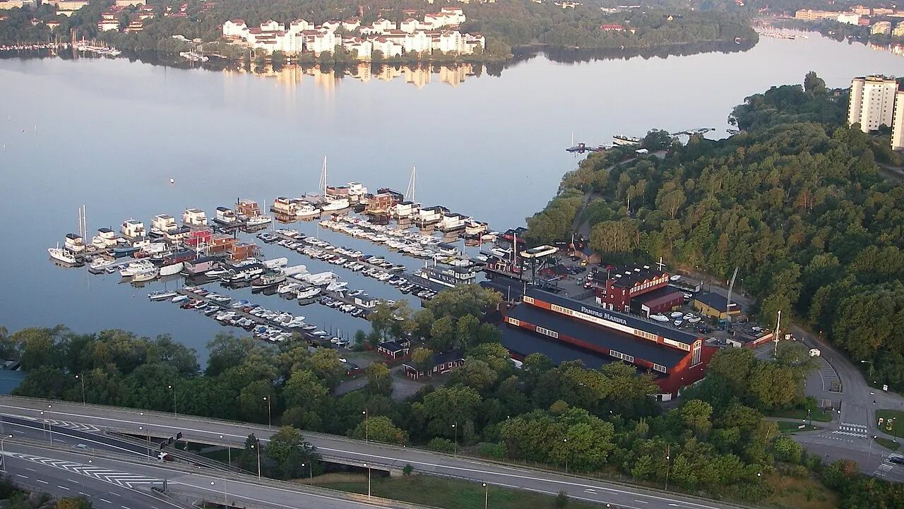 Pampas marina