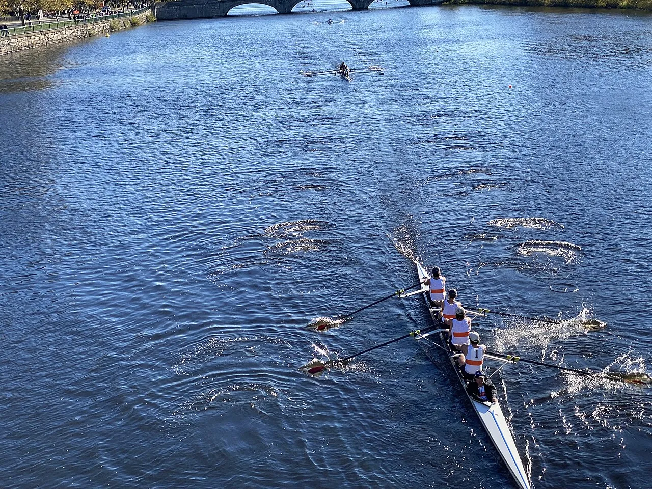 The Head of the Charles Regatta on the Charles River (2021)